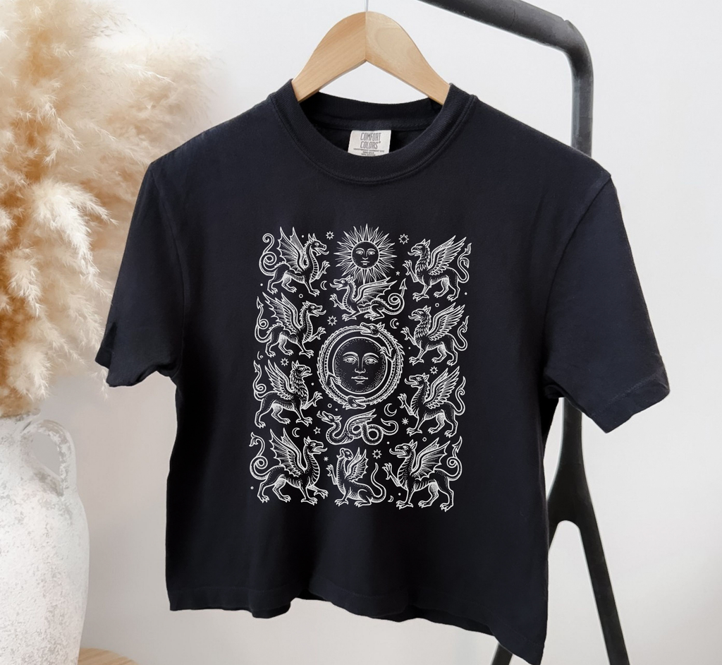 Medieval Dragons Boxy T-Shirt