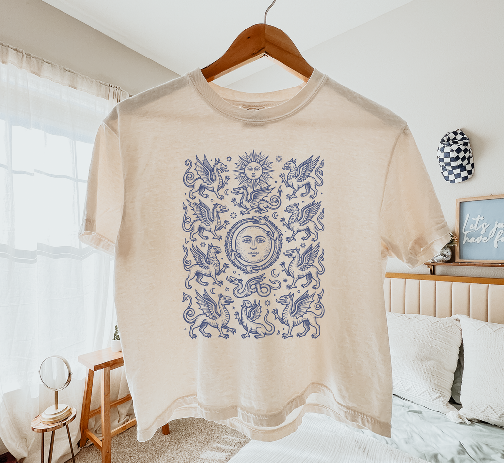 Medieval Dragons Boxy T-Shirt